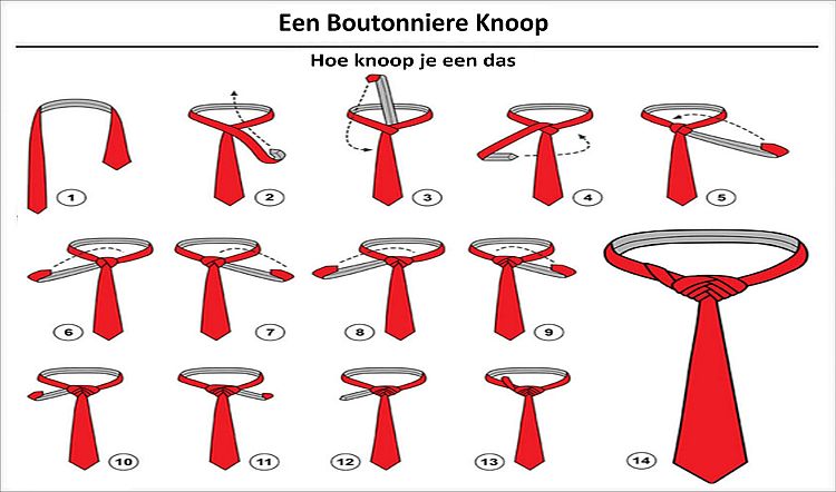 Boutonniere (50K)