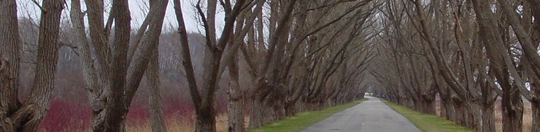 bannerimage (52K)