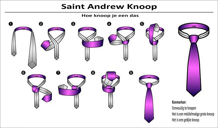 saint andrew (46K)